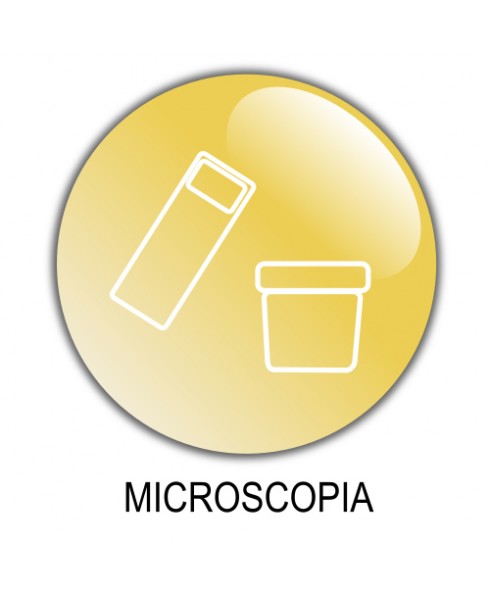 13 Microscopia