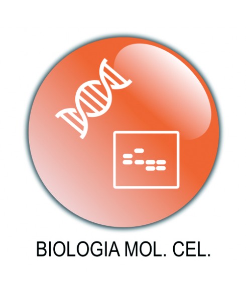 15 Biologia Molecolare/Cellulare